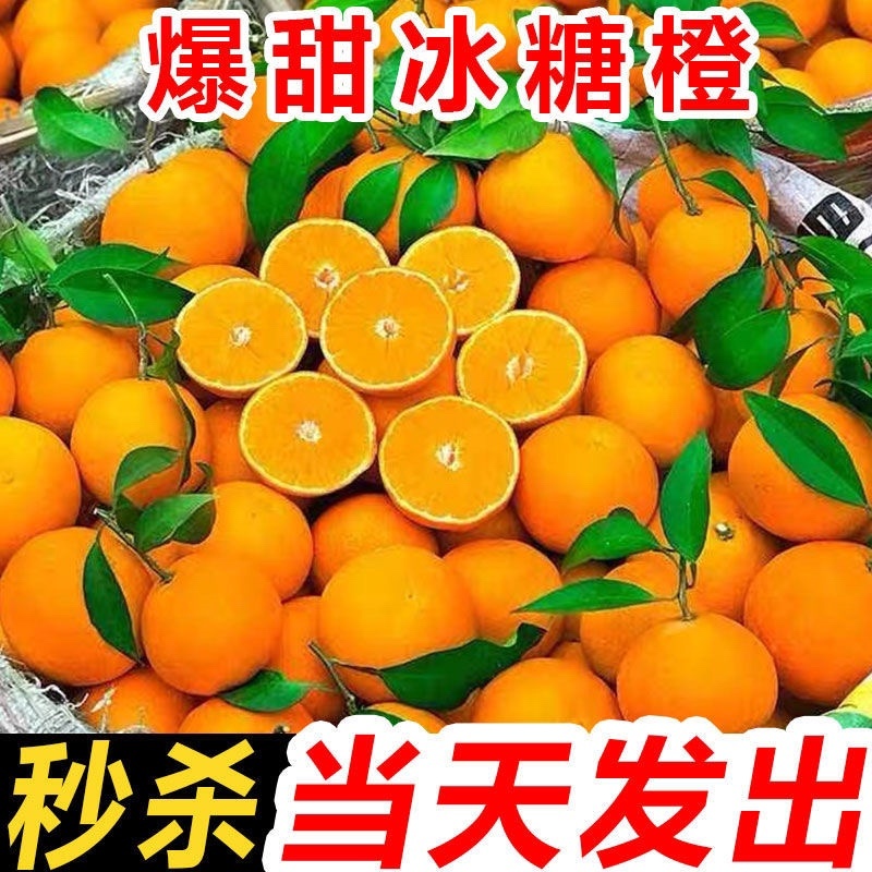 爆甜麻阳冰糖橙小甜橙孕妇新鲜水果一件代发