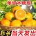 爆甜麻阳冰糖橙小甜橙孕妇新鲜水果一件代发