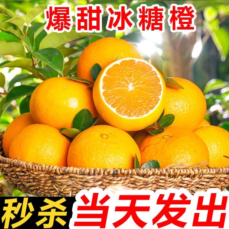 爆甜麻阳冰糖橙小甜橙孕妇新鲜水果一件代发