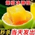 爆甜麻阳冰糖橙小甜橙孕妇新鲜水果一件代发