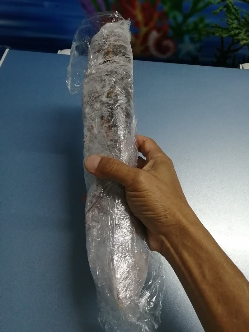 长期大量货源，低价批发生冻波士顿龙虾，质量好，统货批发