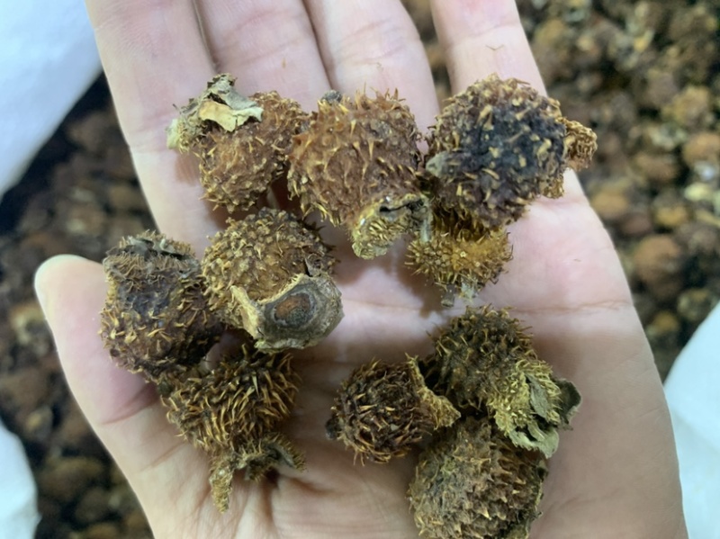 中药材刺梨果，刺梨，各种中药材齐全，中药粉粉