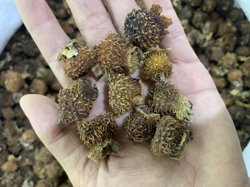 中药材刺梨果，刺梨，各种中药材齐全，中药粉粉