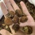 中药材刺梨果，刺梨，各种中药材齐全，中药粉粉