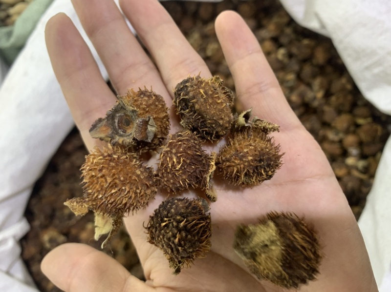 中药材刺梨果，刺梨，各种中药材齐全，中药粉粉