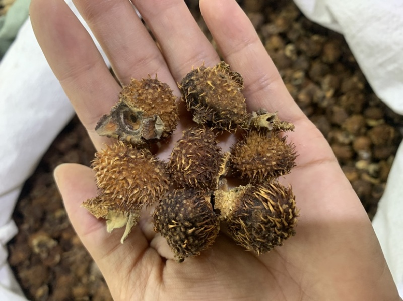 中药材刺梨果，刺梨，各种中药材齐全，中药粉粉