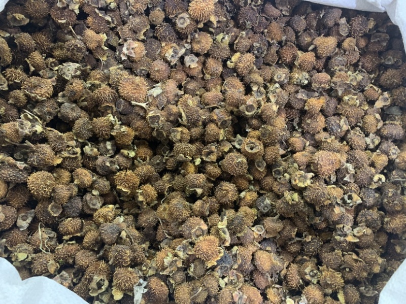 中药材刺梨果，刺梨，各种中药材齐全，中药粉粉