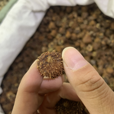 中药材刺梨果，刺梨，各种中药材齐全，中药粉粉