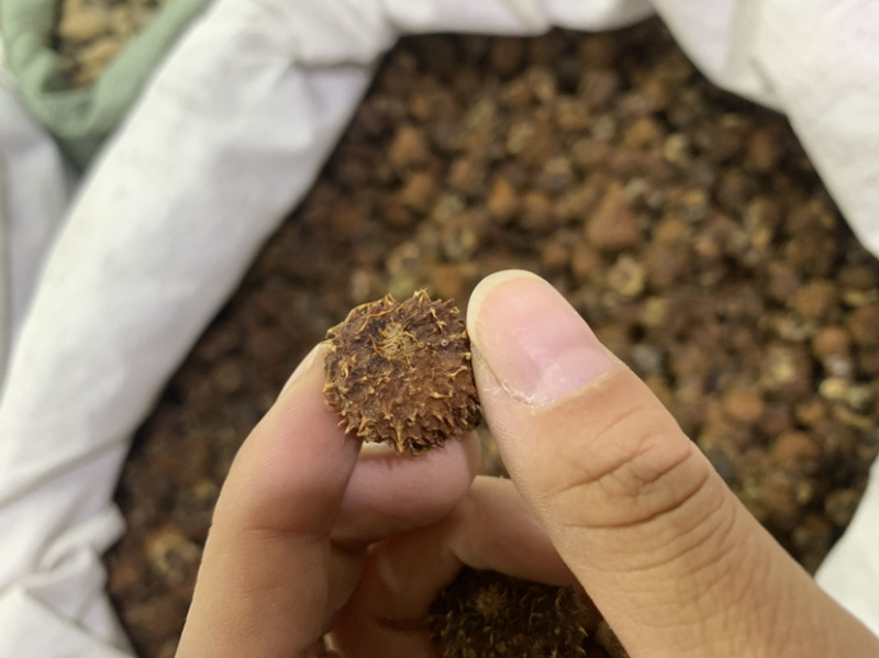 中药材刺梨果，刺梨，各种中药材齐全，中药粉粉