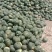 南瓜