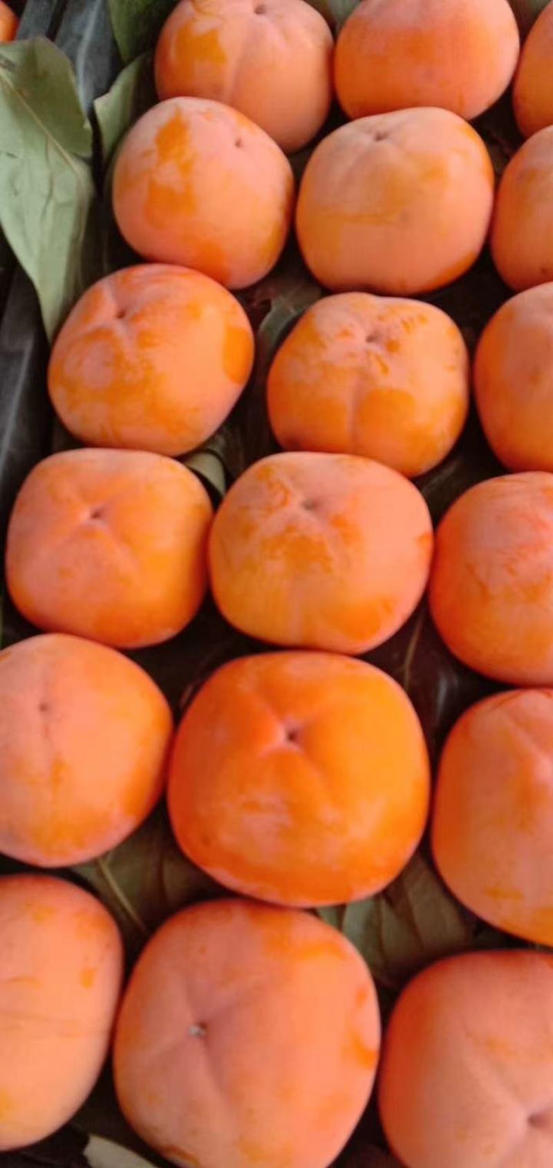 脆柿，
