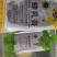 蜜蜂饲料喂蜂花粉油菜杂粉花粉浆蜂粮养蜂中意蜂专用花粉养蜂