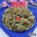 云南野生中药材老鹳草五叶草老观草老贯草老鹳嘴新货