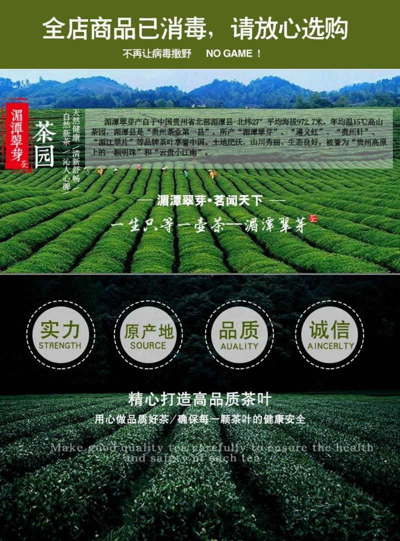 贵州特产绿茶湄潭翠芽特级礼盒装明前雀舌茶叶浓香型新茶春茶