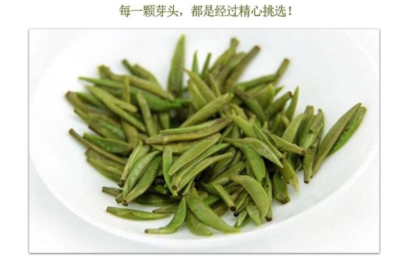 贵州特产绿茶湄潭翠芽特级礼盒装明前雀舌茶叶浓香型新茶春茶