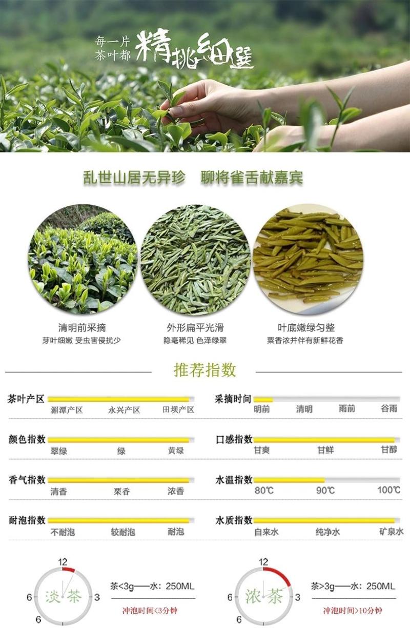 贵州特产绿茶湄潭翠芽特级礼盒装明前雀舌茶叶浓香型新茶春茶