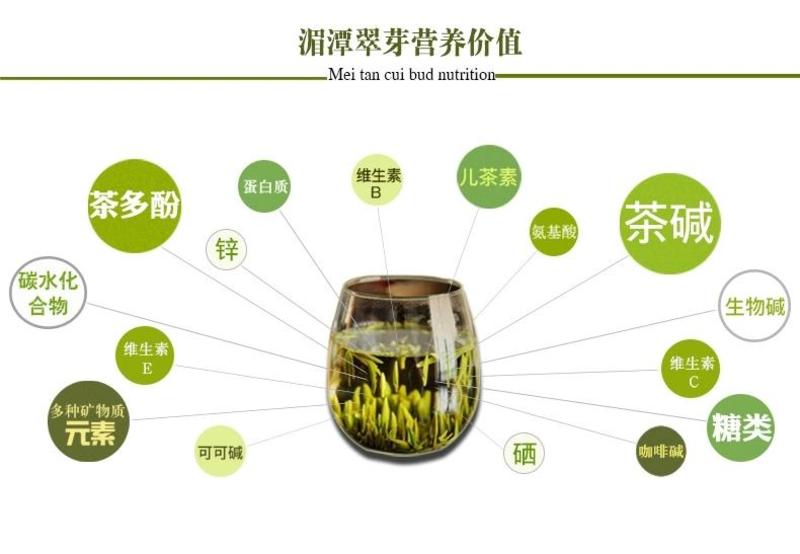 2023新茶湄潭翠芽茶叶礼盒装特级浓香型雀舌绿茶明前春茶