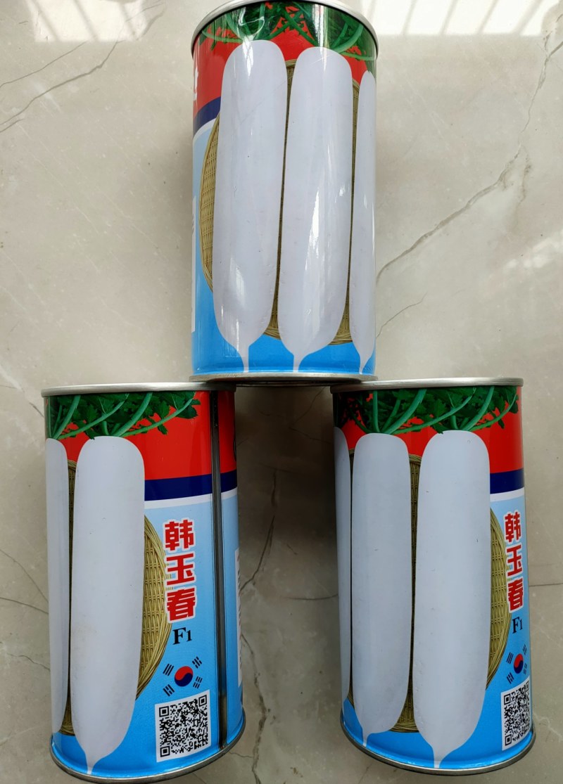 韩国萝卜种子长白萝卜种子韩玉春萝卜种子不易青头条形好