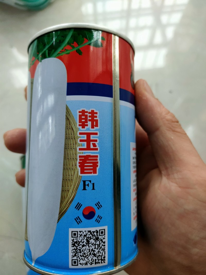 韩国萝卜种子长白萝卜种子韩玉春萝卜种子不易青头条形好