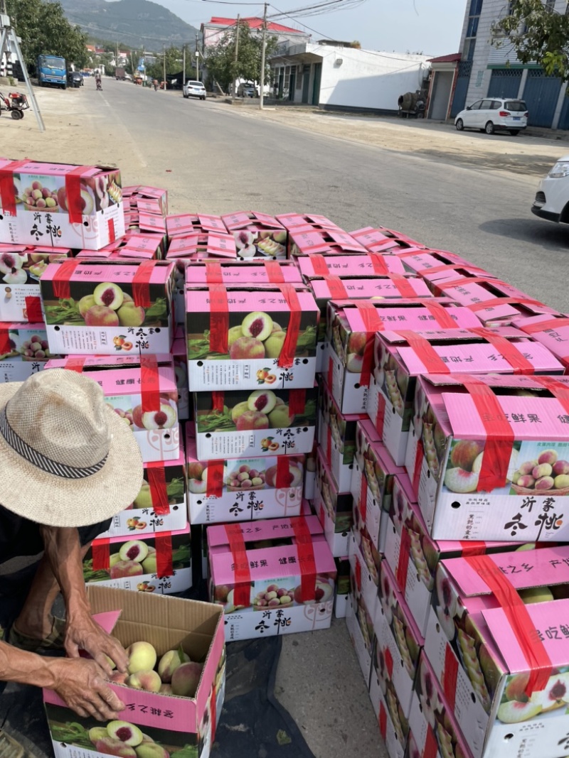 山东精品冬桃压边桃大东桃大量上市品质保证清甜香脆