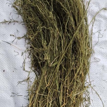百蕊草干货中药材干净无杂质量大从优