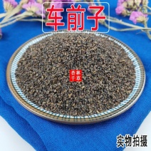 中药材特级车前子野生车前子茶泡水车前子粉散装新货