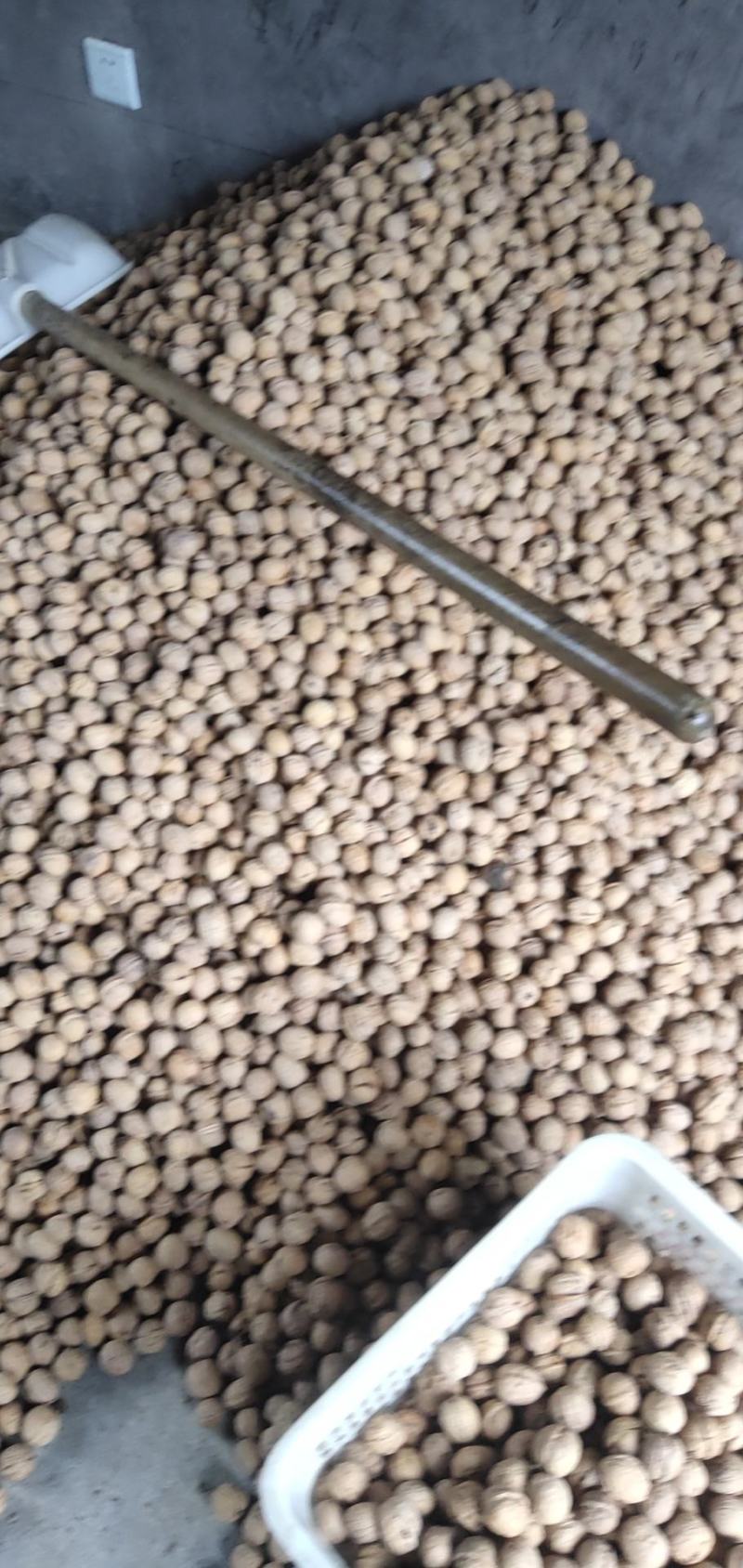核桃30mm以上去皮干