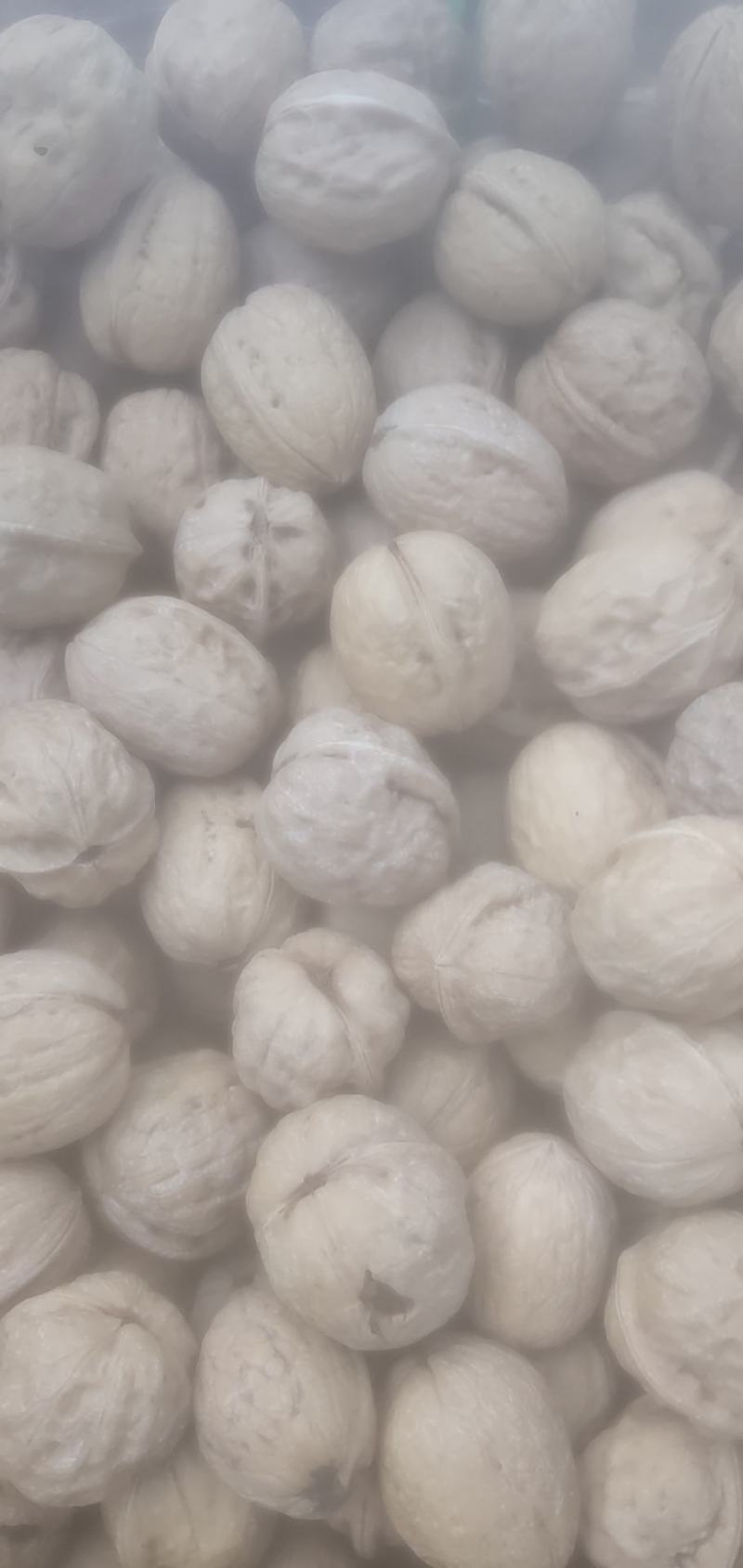 核桃30mm以上去皮干