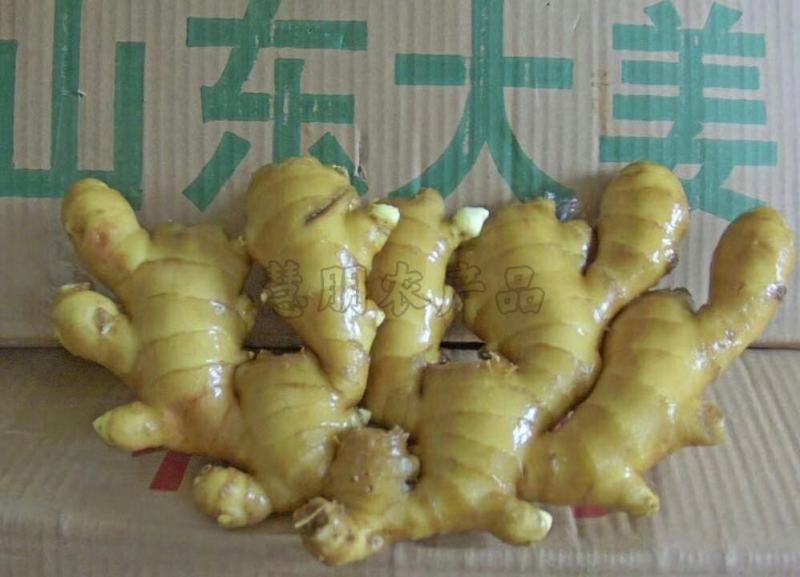 【优选】山东生姜供应大黄姜批发产地新姜鲜姜窖藏储存