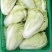 夏阳白菜，抗热王白菜，山东白菜，泰安白菜大量供应