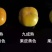 陕西脆甜柿子甜柿子,次郎柿子阳丰柿子3~4两以上产地直供