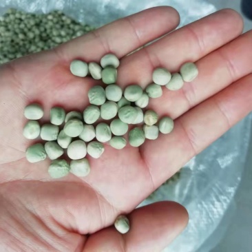 干青豌豆干豌豆米地摊菜市跑江湖热卖产品