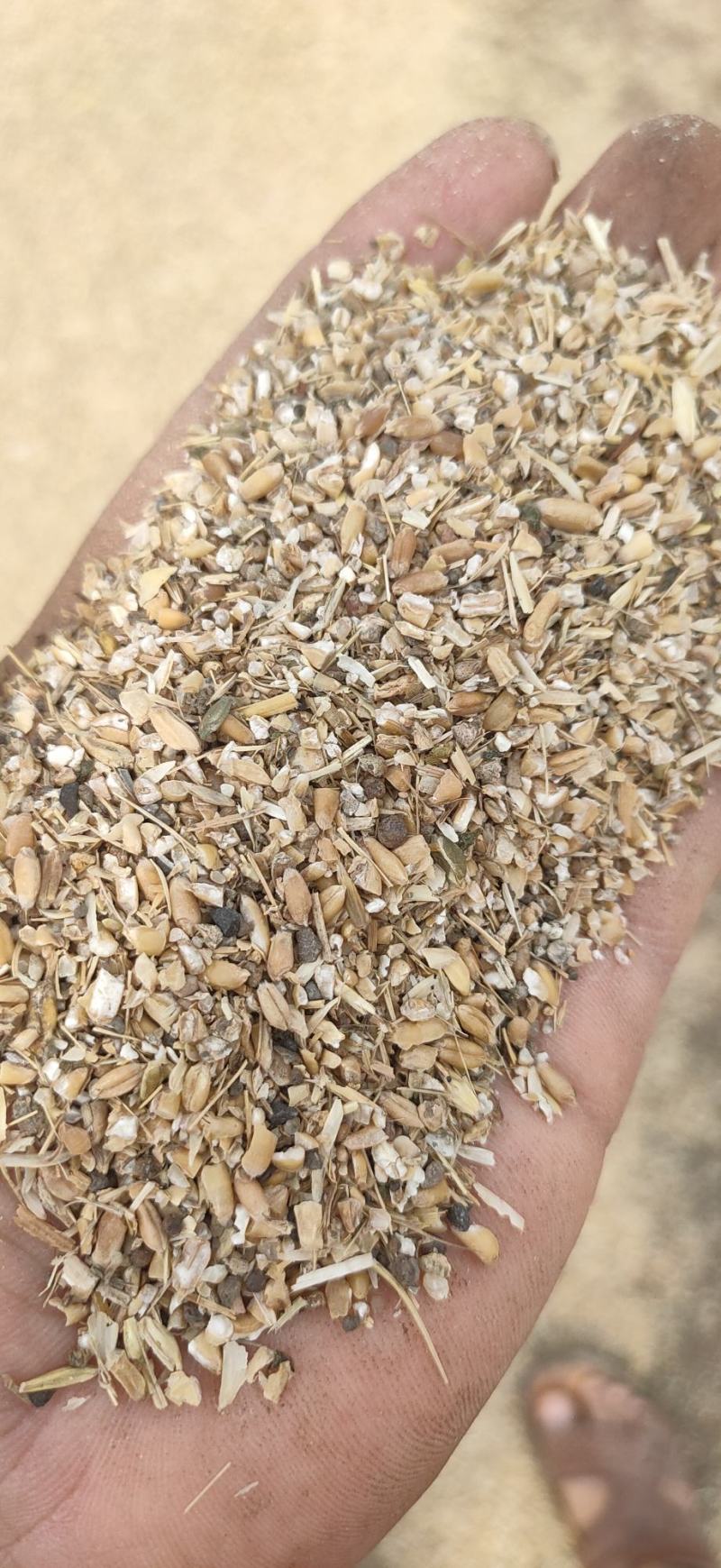 本场常年出售碎小麦，草籽麦，麦土等，有需要的联系我。