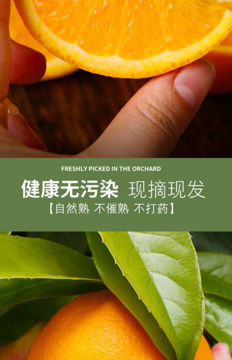 电商果九月红，产地直供，宜昌产地