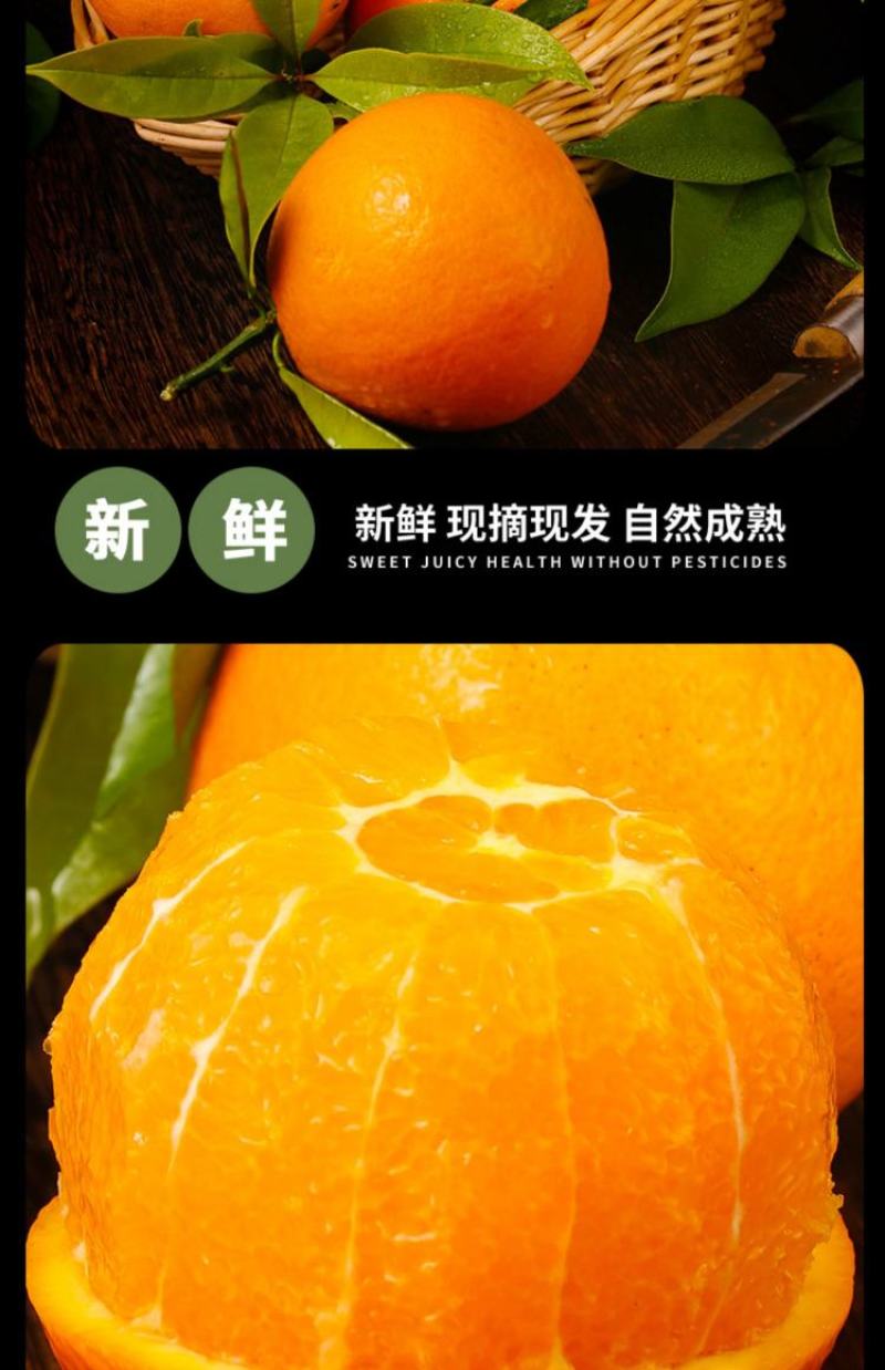 电商果九月红，产地直供，宜昌产地
