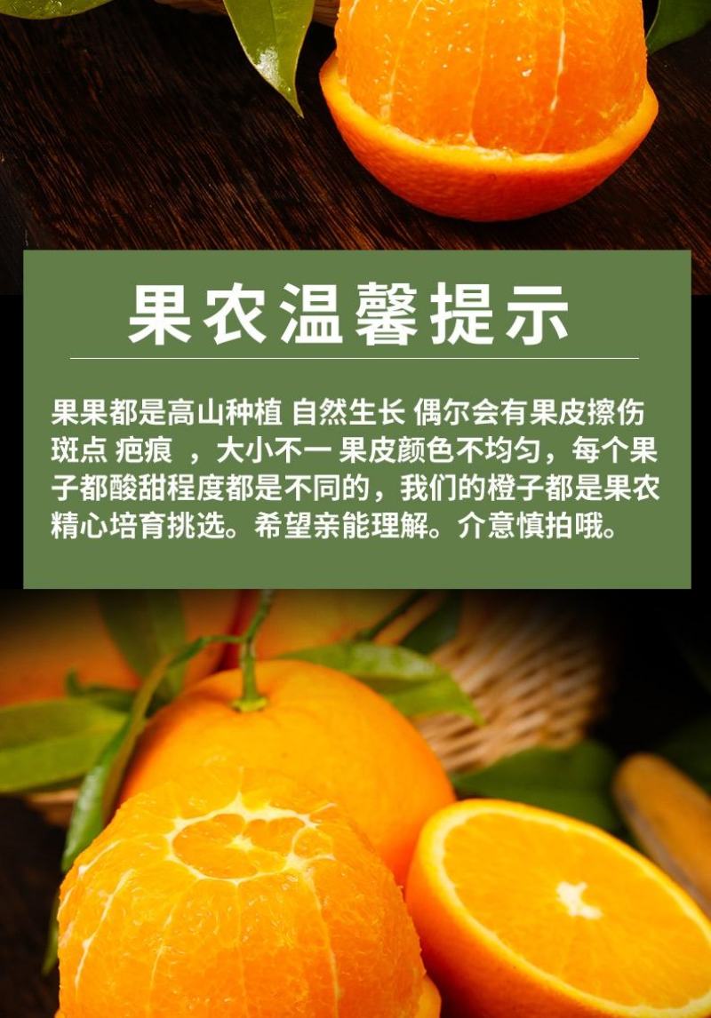 电商果九月红，产地直供，宜昌产地