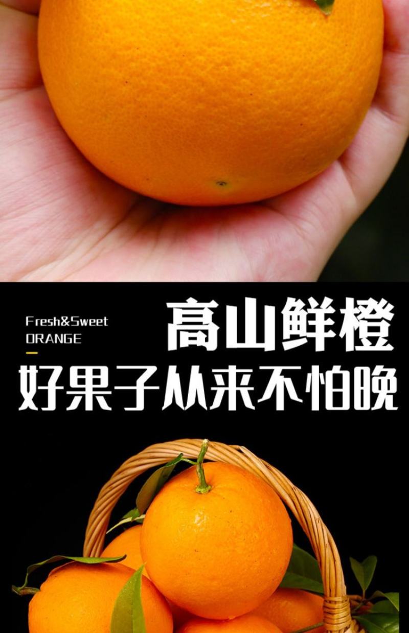 电商果九月红，产地直供，宜昌产地