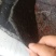 棉被温室保温被无纺布无胶棉防雨棉被长寿膜