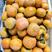 山西运城脆柿子当季新鲜水果，大量上市了，