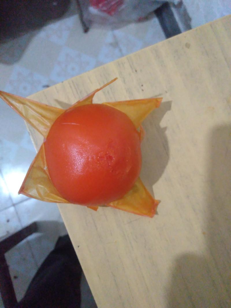 旱地高原优质红柿子