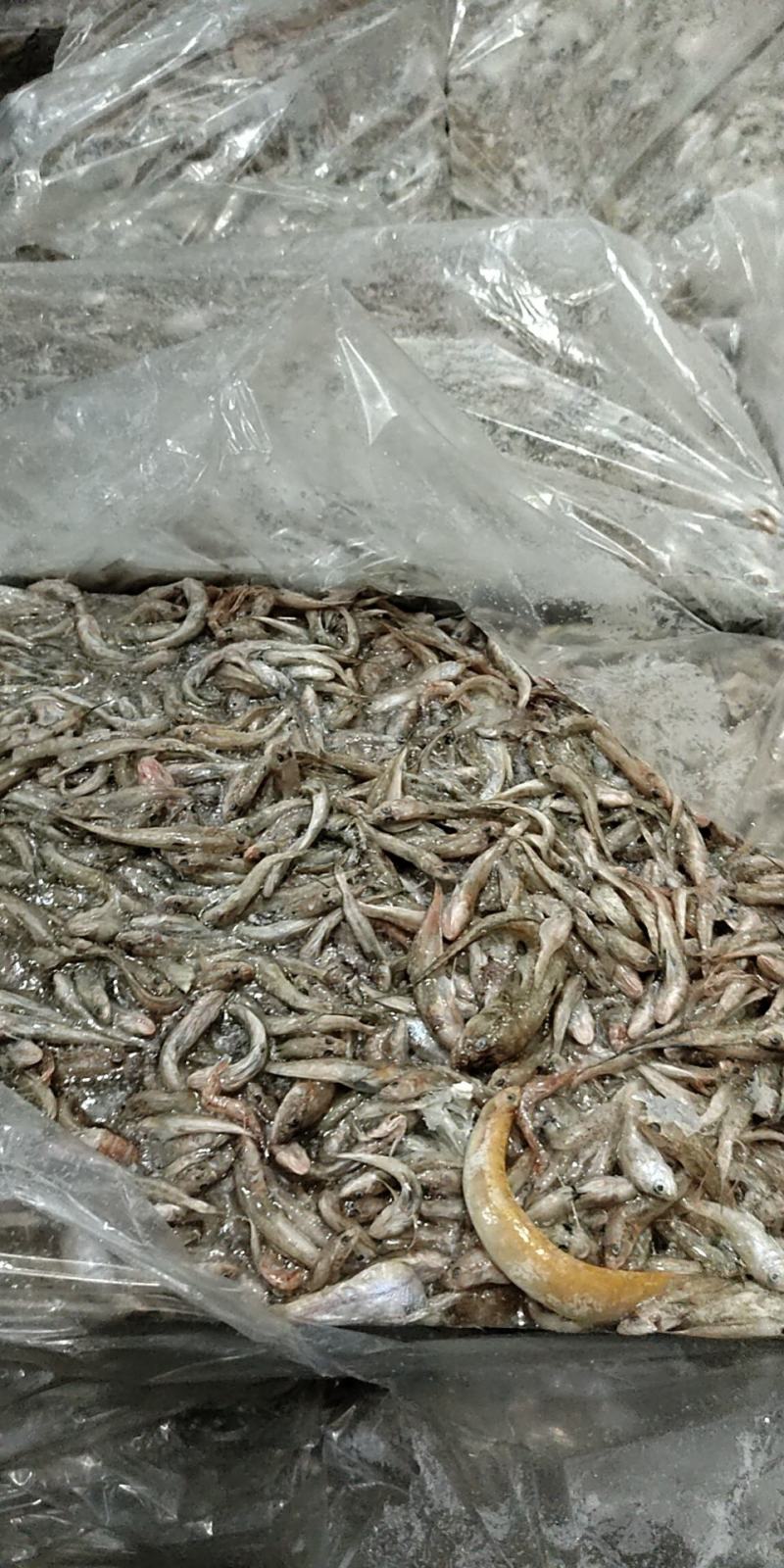 喂蟹子的货来了，便宜量大，需要的联系