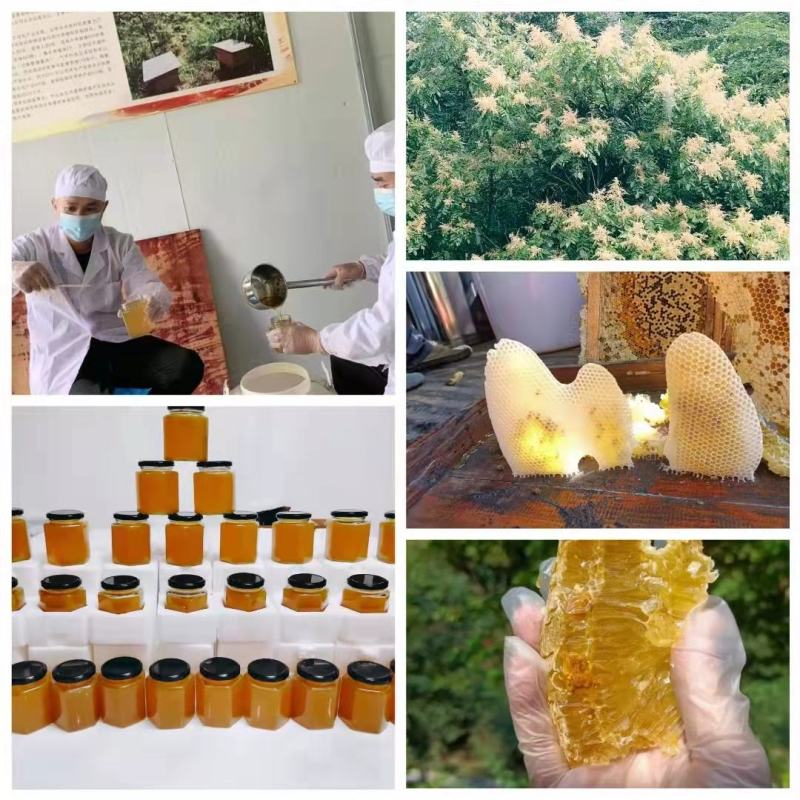 正宗贵州蜂蜜
