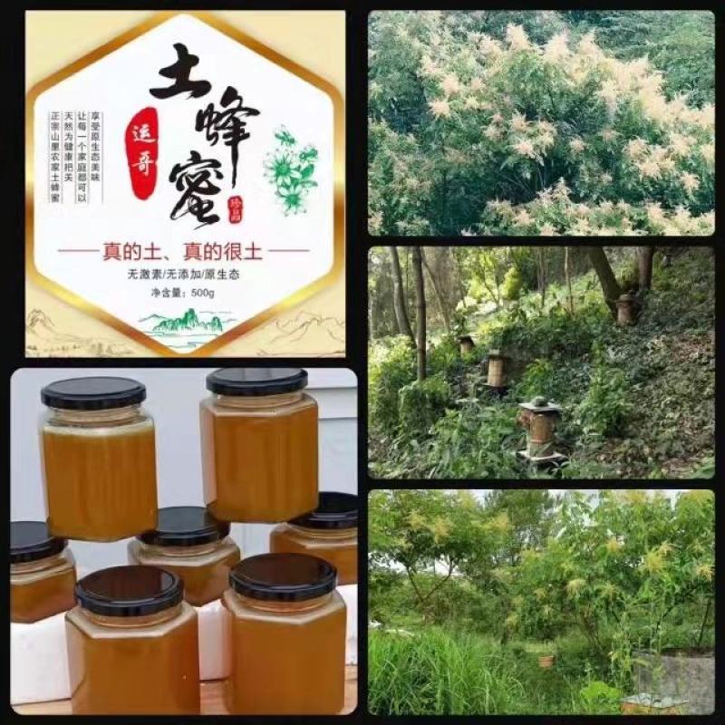 正宗贵州蜂蜜