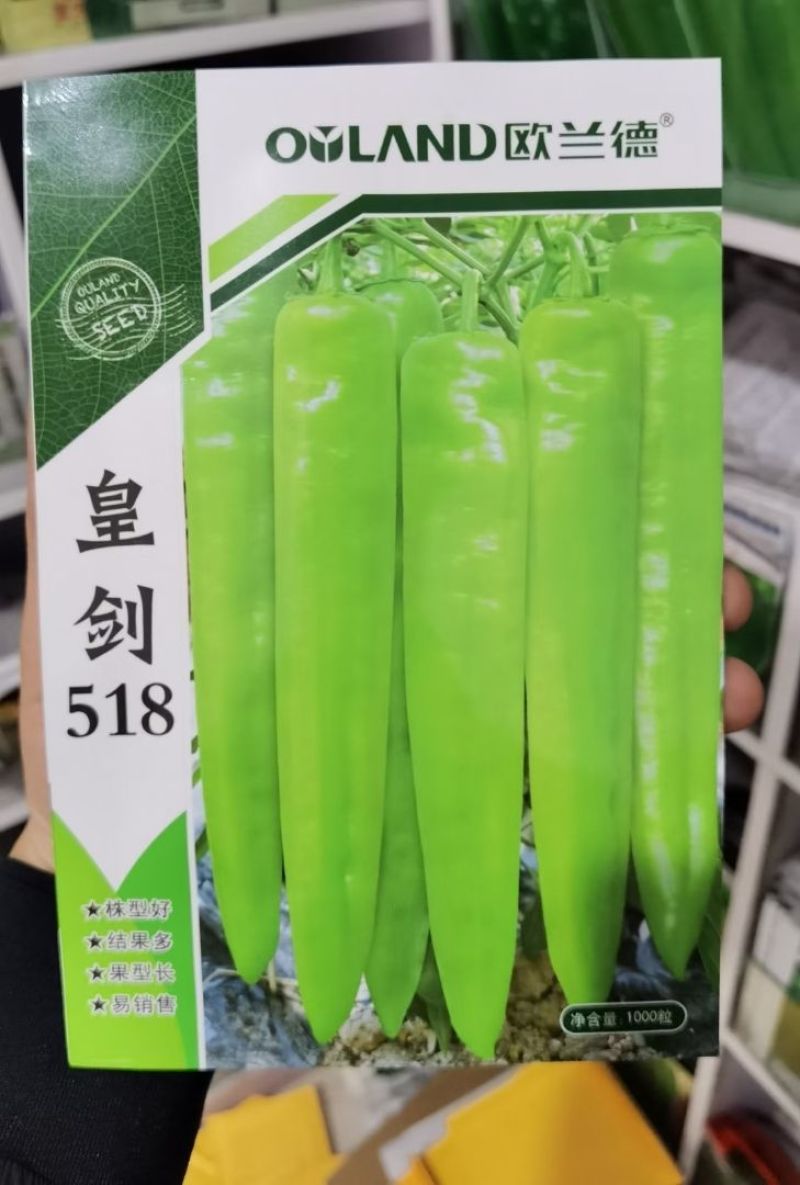 高品质！大果型黄皮尖椒种子辣椒种子黄绿结果多果型长