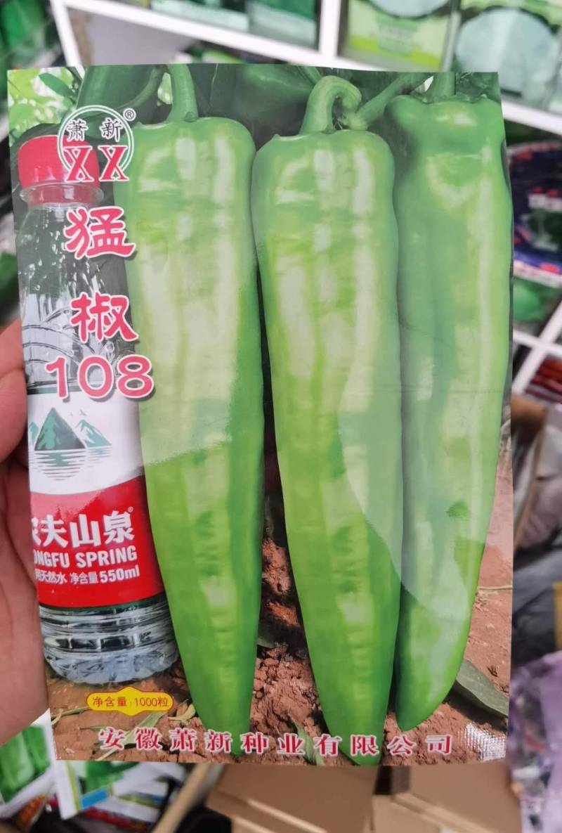 高品质！大货猛椒108辣椒种子尖椒种子耐热耐湿特抗病