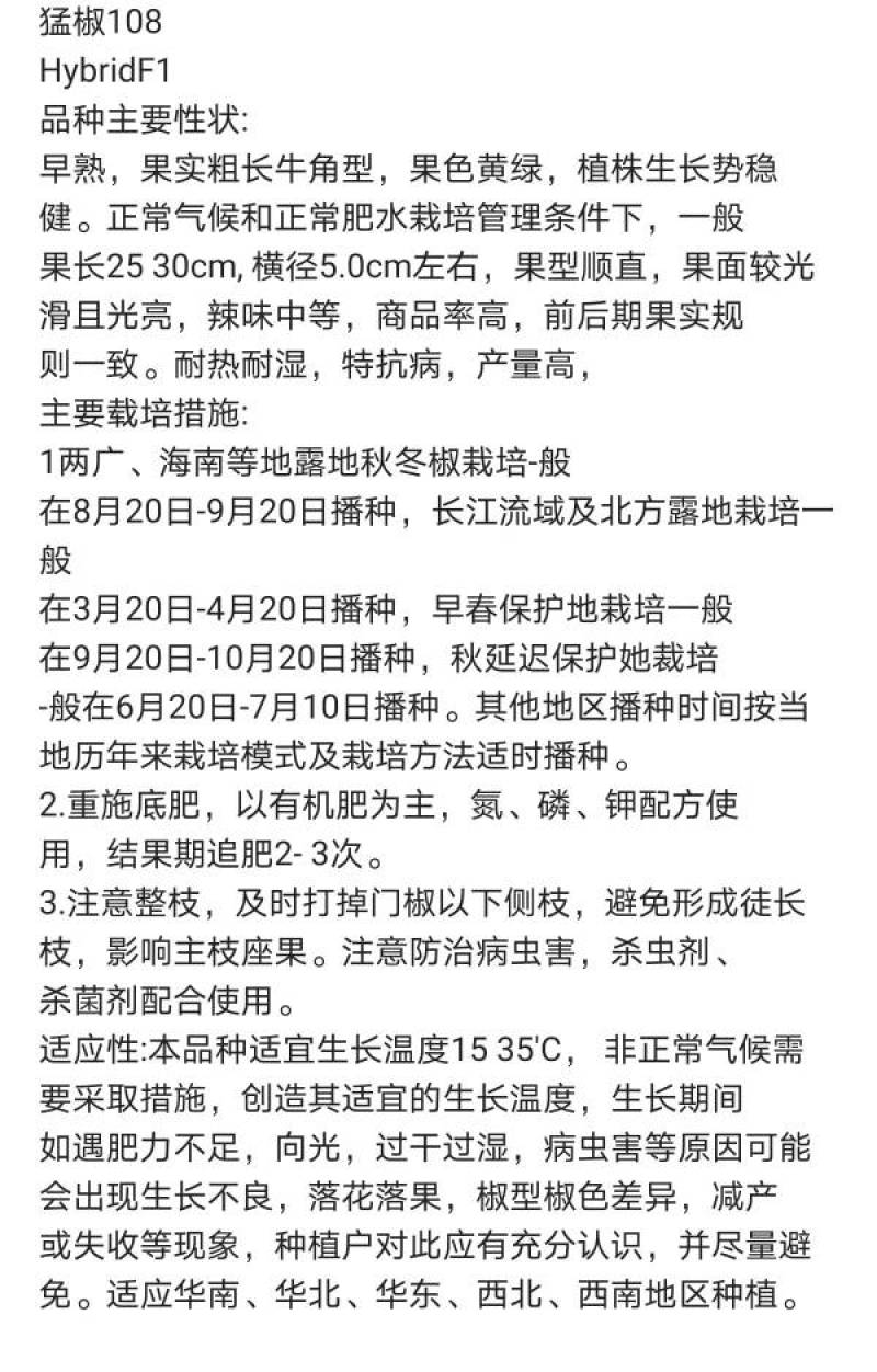 高品质！大货猛椒108辣椒种子尖椒种子耐热耐湿特抗病