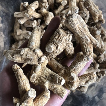 西洋参进口加拿大二面粒头长条花旗参粉批发