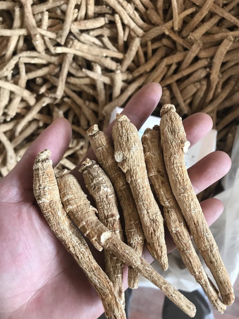 西洋参进口加拿大二面粒头长条花旗参粉批发
