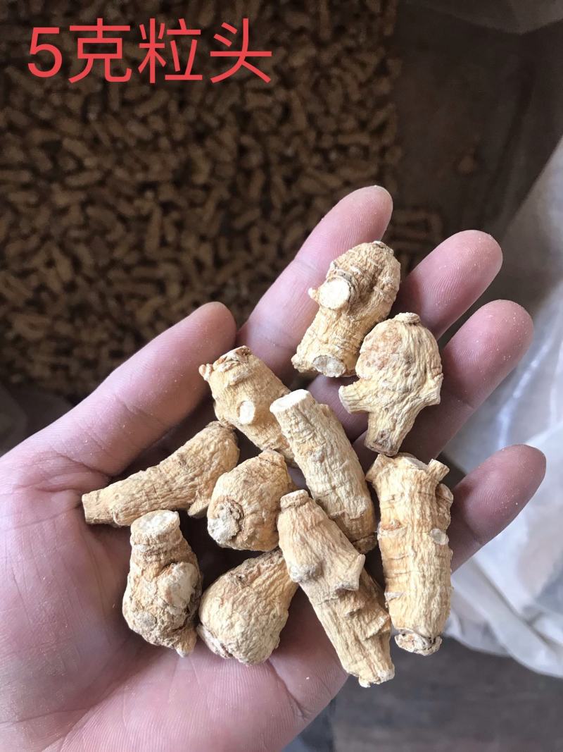 西洋参进口加拿大二面粒头长条花旗参粉批发
