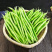 陕西西安无筋四季架豆王豆角快递一件代发，仓储，货源